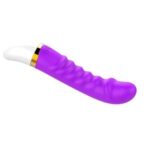Vibrador Speed Recargable Estrias USB