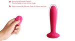 Plug Anal Vibrador Térmico Primo Svakom-DS - Imagen 3
