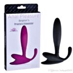 Acostumbrador Anal Próstata Estimulator-CL - Imagen 2