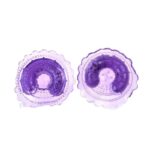 Pezoneras Silicona Vibración-CL - Imagen 3